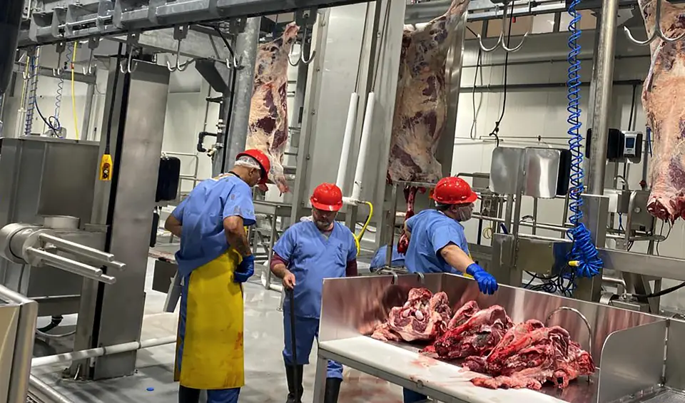 Creek Ranch butchers in hard hats trimming beef at a stainless table, with sides of beef on the rail behind them