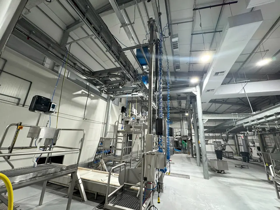 The kill floor, with work platforms beneath the overhead carcass rail