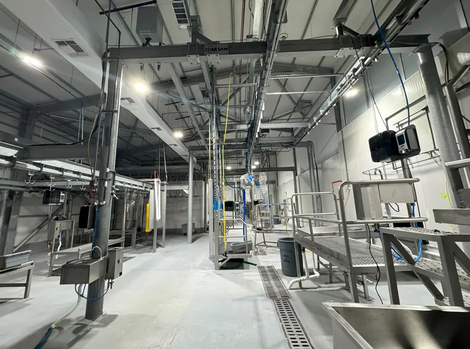 Wide view of the slaughter floor with stainless platforms and hand-wash stations