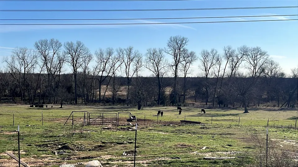 Open pasture lined with bare trees in Wise County