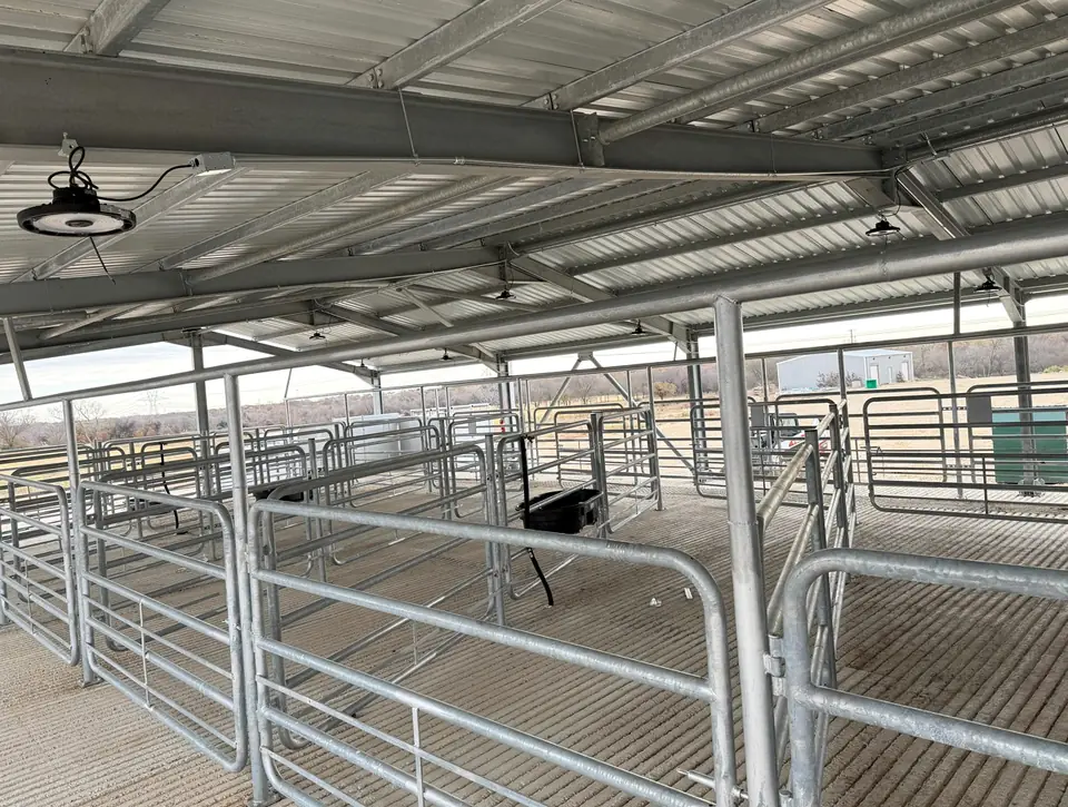 Galvanized pen panels along a covered alley where animals wait after unloading